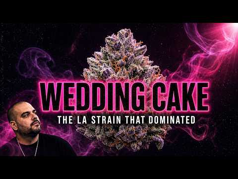 Wedding Cake: The Los Angeles Strain That Dominated the Cannabis Industry With Flavor Alone