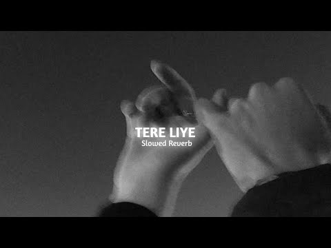 TERE LIYE PRINCE Slowed And Reverb Alyan 