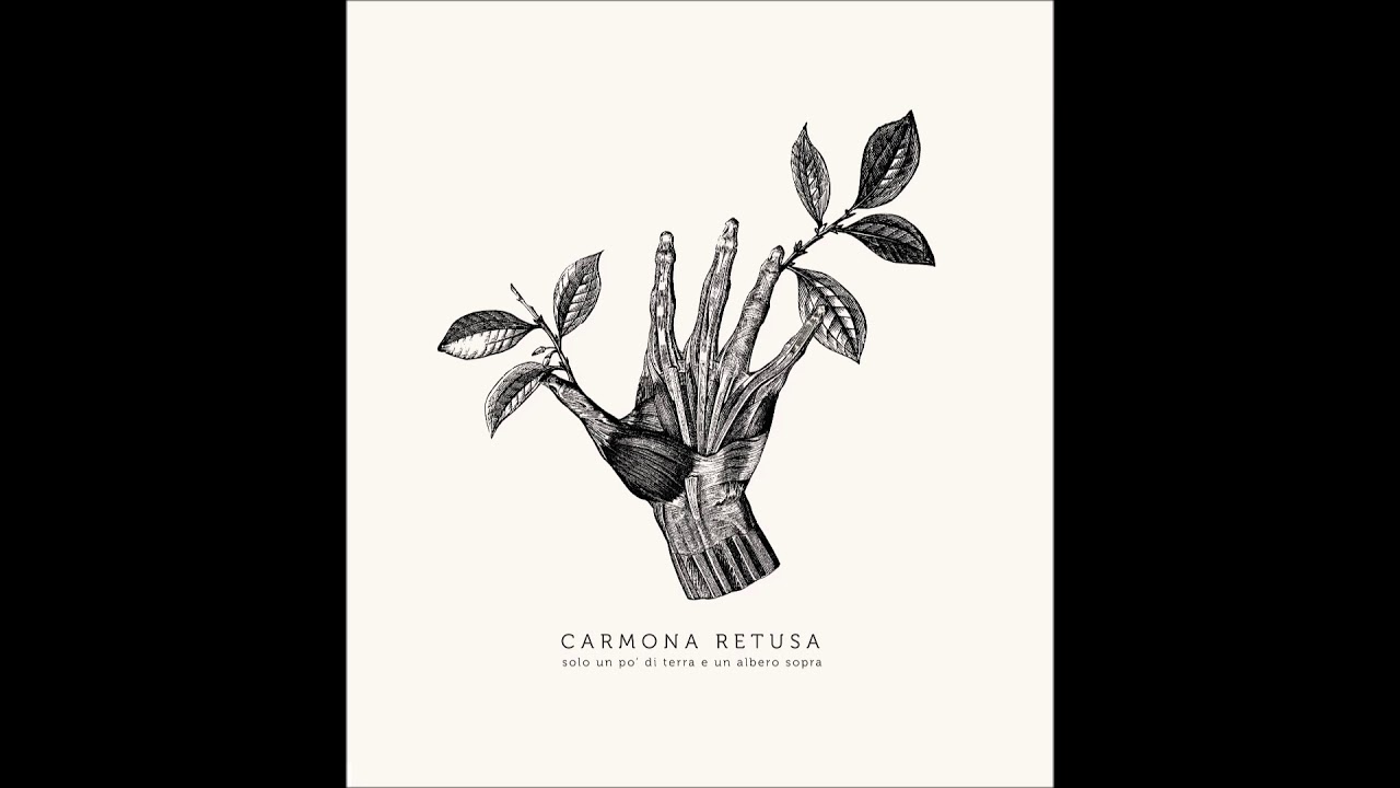 Carmona Retusa - Selenofilia [album version]