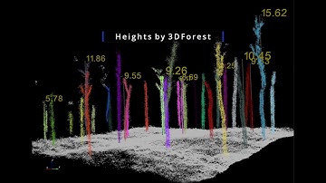 Forest point cloud test