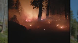 UNM professor predicts wildfire behavior