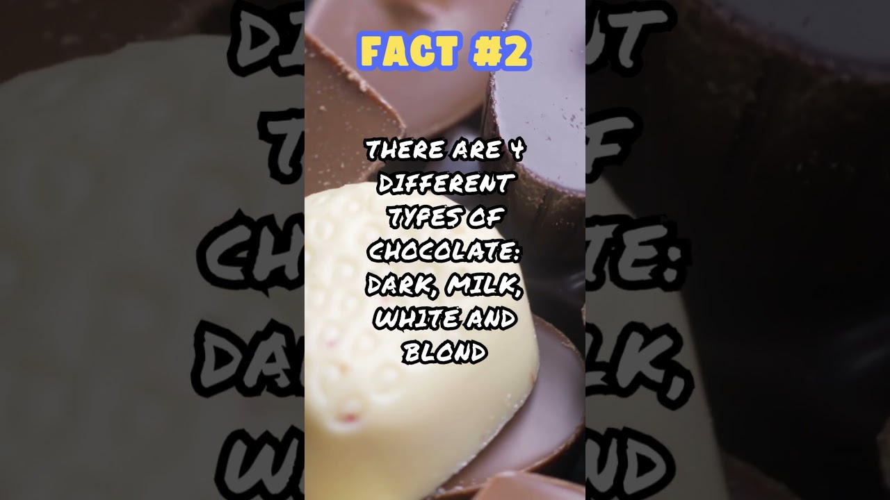 Facts About Chocolate - Wise Owl Facts 