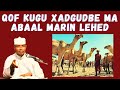 2 Qiso Oo Cajiib Ah Qof Kugu Xadgudbe Ma Abaal Marin Lehed Sh Xassaan Abu Salmaan 2 Qiso Oo Cajiib Ah Qof Kugu Xadgudbe Ma Abaal Marin Lehed Sh Xassaan Abu Salmaan