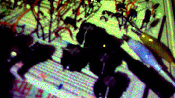 Testing the VCF-1 [A Thomas Henry Design]