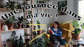 24H avec moi : ma routine, tour du balcon, shooting et entretien des plantes ! #dailyvlog