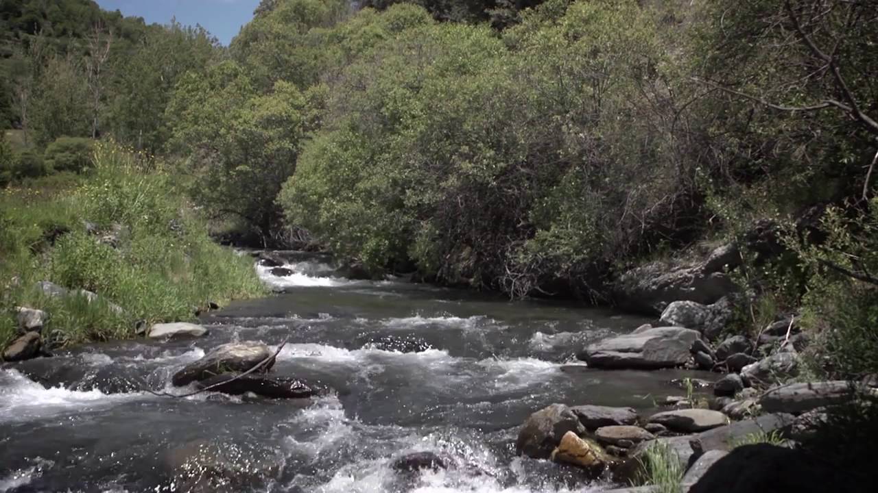 Хамон де Тревелес NEVADENSIS  www jamon24 com