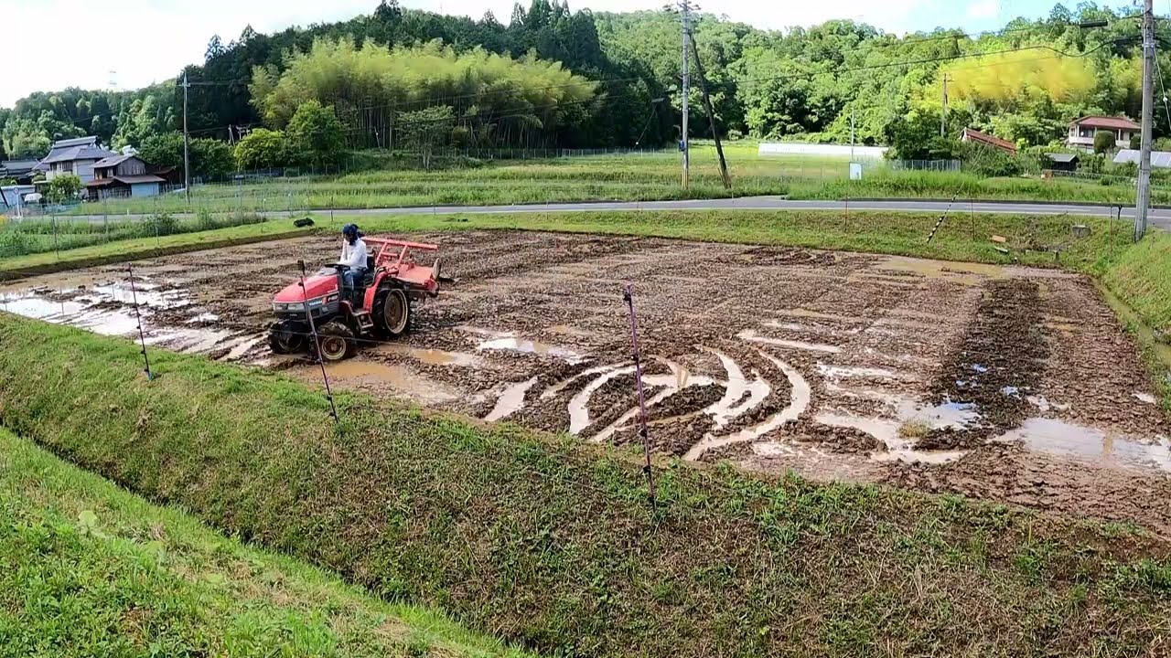 【京都府綾部市発】荒代かき2023　ドライブハローがないのでロータリーで代かきします