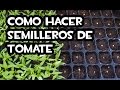 Como hacer Semilleros de Tomate | Muy fácil 🍅