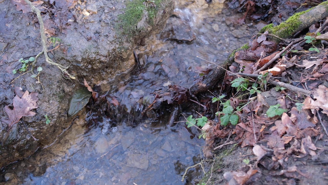 Fujifilm XS10 with 1680mm OIS Lens, with IBIS+OIS On (Handheld