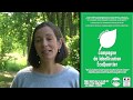 Pyrénées - Les carnets de Julie - YouTube