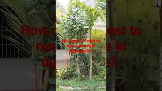 how much it cost to rent a house in dumaguete?