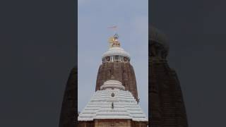 Jagannath Puri 🙏🏻 #oathkeeper #jagannathtemple #jagannath #puri #rathyatra