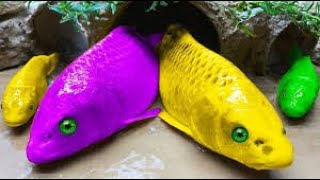 Top 10 Episodes Crocodiles Hunt Colorful Koi, Catfish Primitive Cooking Eels - Stop Motion ASMR CoCo