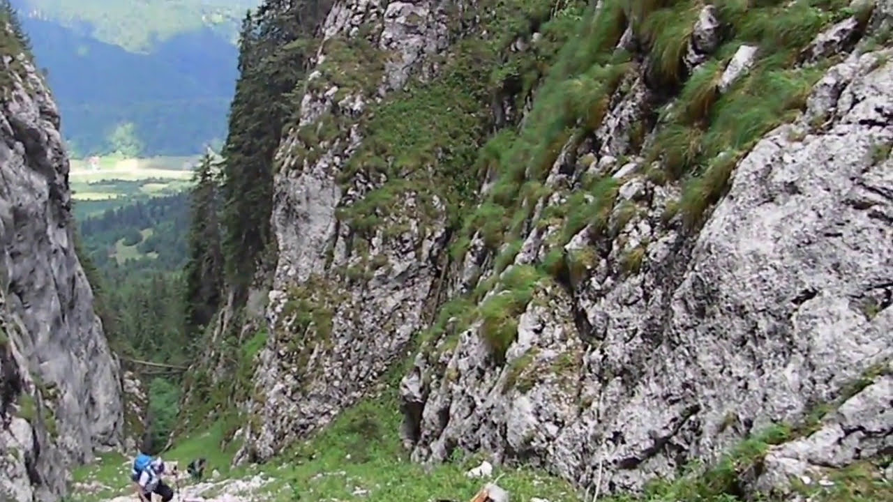 Padina Sindileriei din Piatra Craiului,26.06.2016