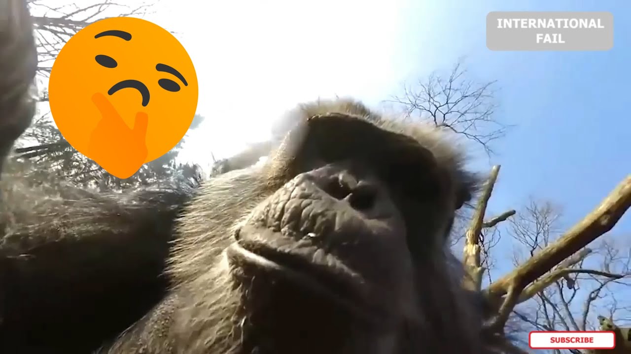 Best Drone fails caught on camera