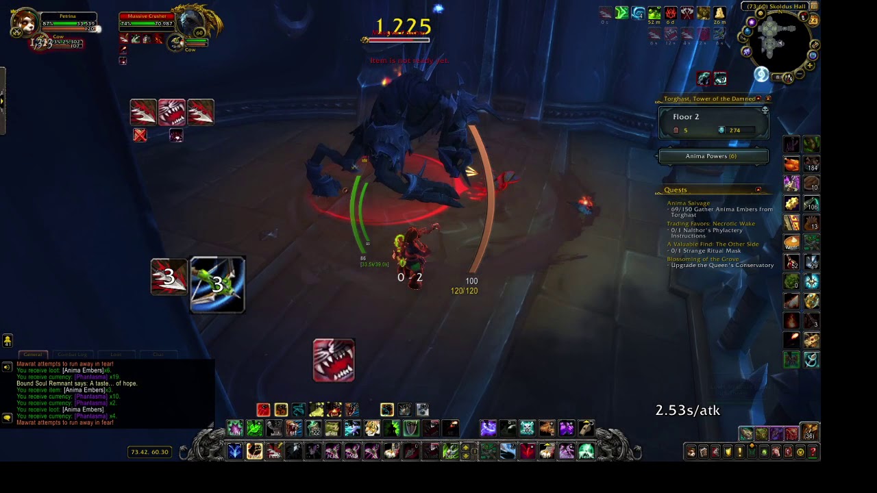Beast Mastery Weak Auras and Macros in action - YouTube