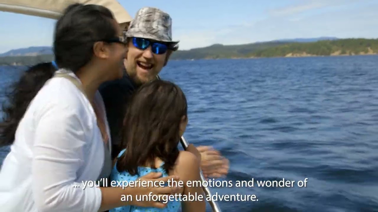 Whale Watching in the San Juan Islands CC