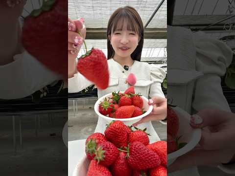 いちご狩りで爆食！！