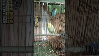 video 20210615 135633