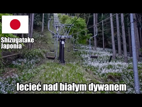 Wideo: Niezbadana Ukraina: Wydmy I Błękitne Jeziora Regionu Dniepropietrowska - Alternatywny Widok