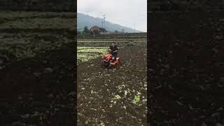 Self Start Diesel Engine - Power Weeder with Seat - 9HP - PTO - 2 Fwd & 1 Rev Gear - 📲 7013000139