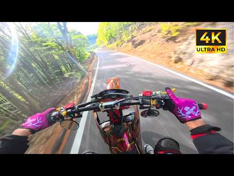 KTM 450 SMR Pure Sound