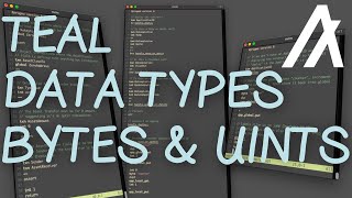 TEAL Data Types (Bytes & Uints)
