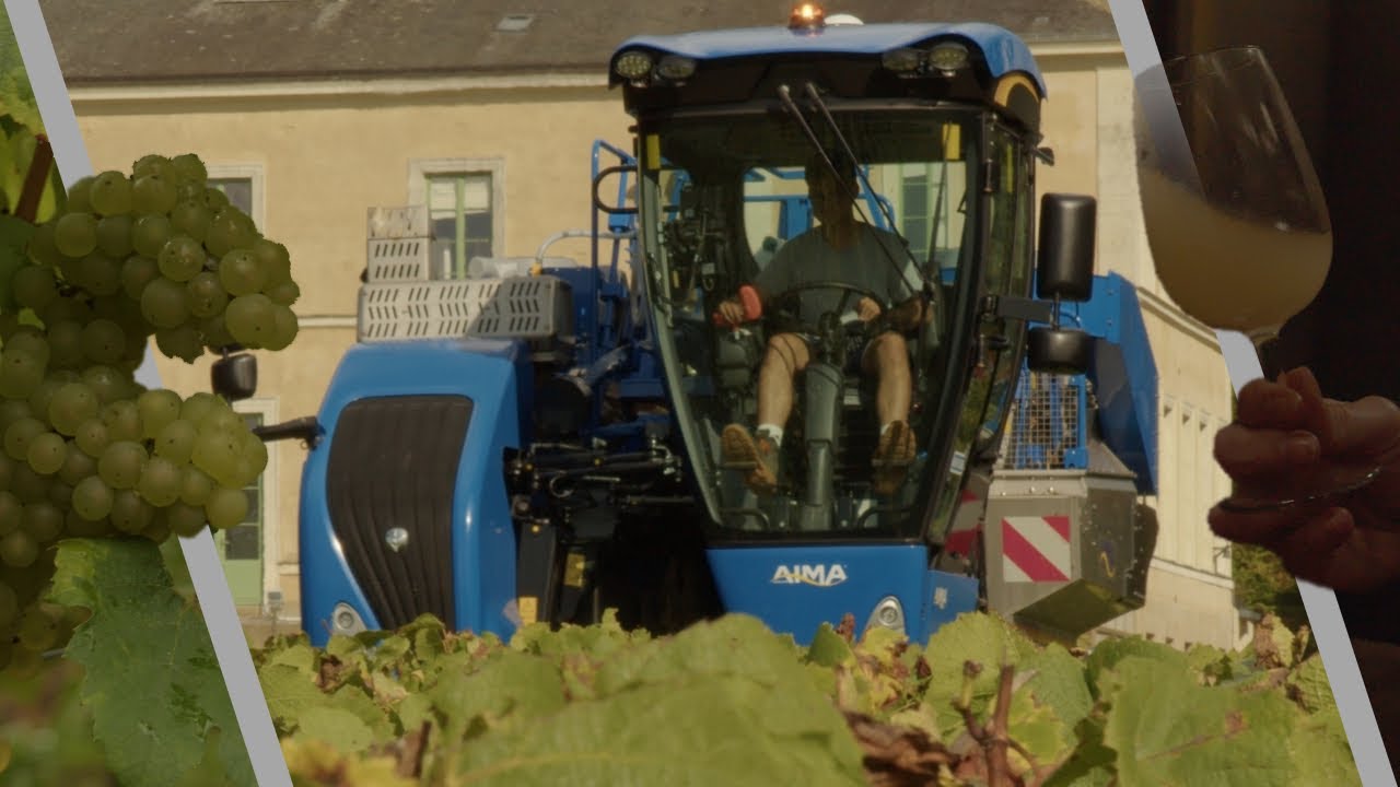 Vendanges 2024 les New Holland Braud 7030M et VM4090 en Action !
