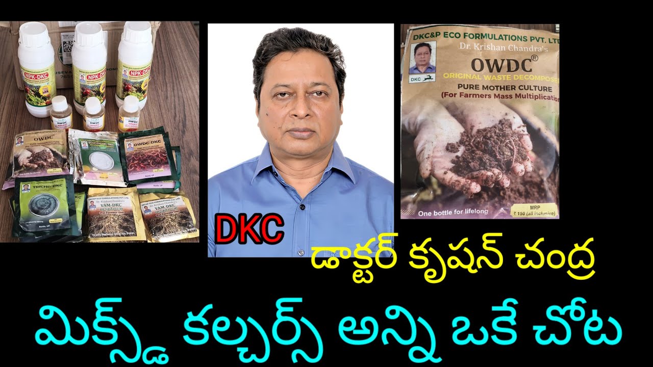 Dr క్రిషన్ చంద్ర OWDC NWDC VAM TRICHO NPK ECOFUNGI మిక్స్డ్ కల్చర్స్ #DrKrishanChandra #pgoutham