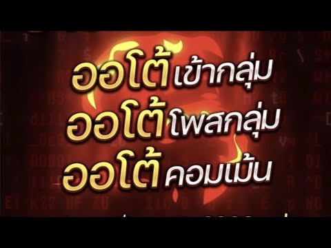 โปรแกรม การ ตลาด  New 2022  โปรแกรมการตลาด สายเทา สายขาว สายดำ