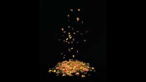 L2L Swirling Autumn Leaves Video Demo
