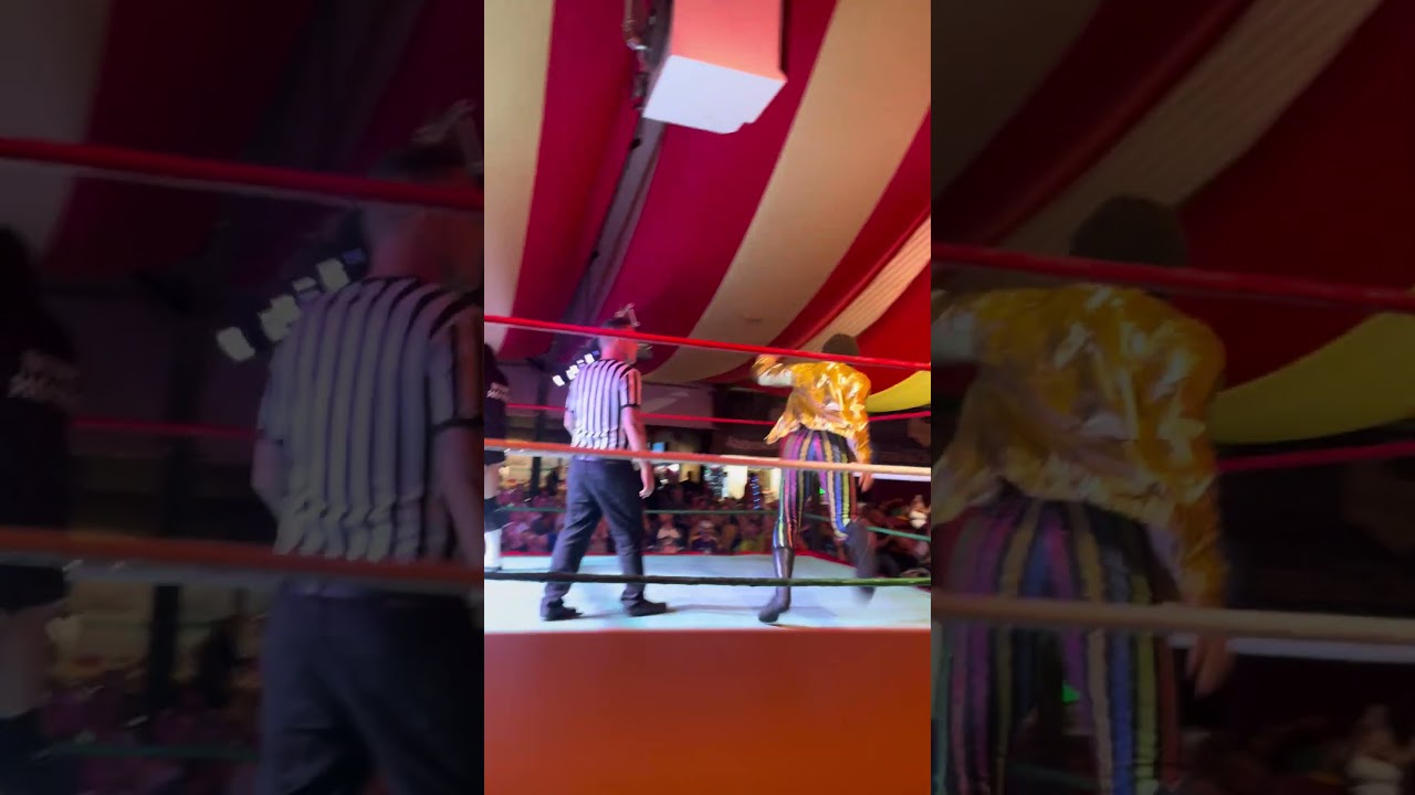 Welsh wrestling at Crealy in Exeter was so fun! 