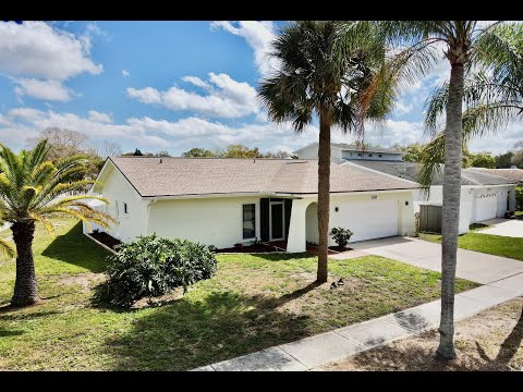 1787 E Grovehill Rd, Palm Harbor, FL home video tour