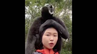 Funny And Cute Animals Compilation - January - Part 3