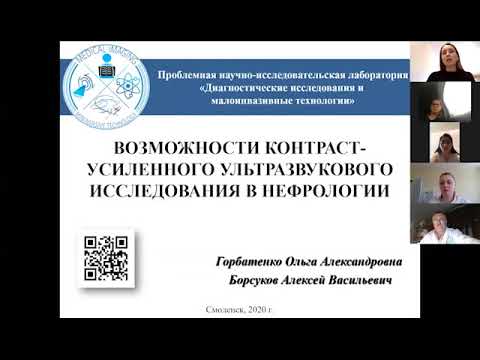 Возможности контраст-усиленного ультразвукового исследования в нефрологии