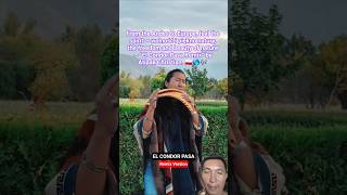 Download Lagu El Condor Pasa (Remix Version) • Atipak Christian | Beautiful Relaxing Music #elcondorpasa #shorts MP3