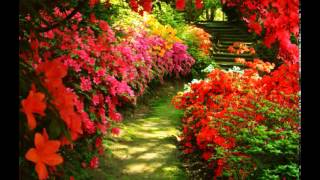 Secret Garden - Prayer