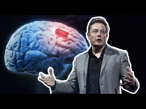 Comment Musk va connecter nos cerveaux à Internet