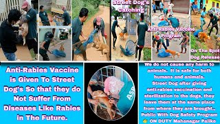 Amazing Dog Catching Moments | ABC Dog Catch | Dog Catching Trailer #dogwithpublicsafety #vlog #dog