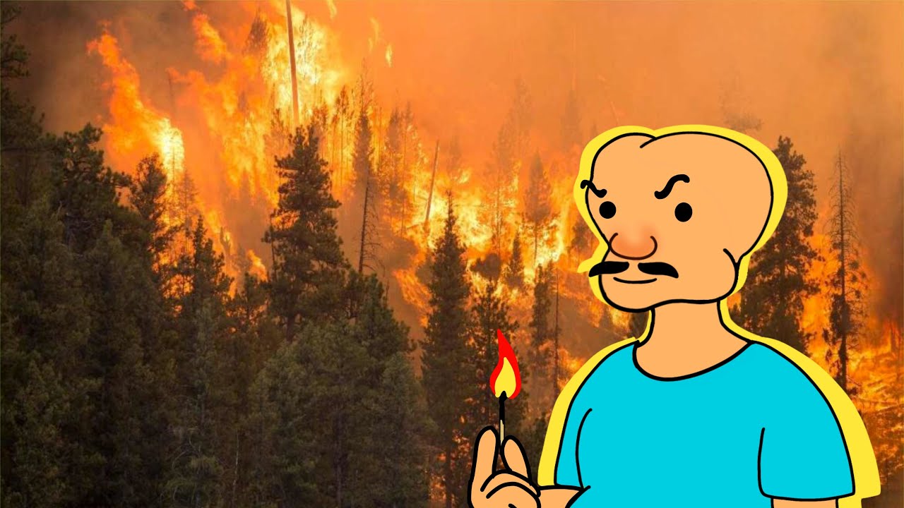 حرائق الغابات.. ثورة الارض !!!