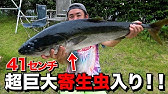 ホウキハタをお店に売ったらシリーズ史上最高額が付いた Youtube ホウキハタをお店に売ったらシリーズ史上最高額が付いた Youtube
