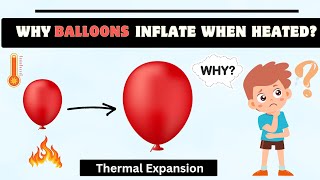Why Balloons Inflate When Heated Thermal Expansion Balloon Inflation The Science Explained