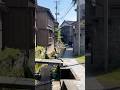 Un tesoro escondido en una isla de Japón 🗺️