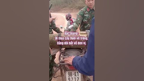 Bắc Giang :Đi mua cây Duối về trồng.Cũng đòi bắt về đơn vị.