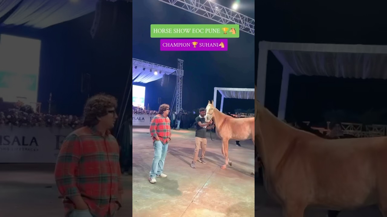 Horse show EOC PUNE champion filly SUHANI 🐎🏆 