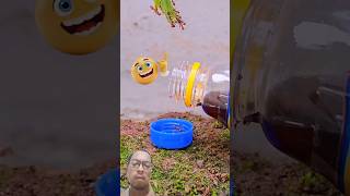 the intelligence of weaver ants #experiment #animals #intelligentanimals #smart
