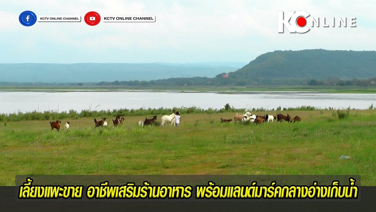 เลี้ยงแพะขาย อาชีพเสริมร้านอาหาร พร้อมแลนด์มาร์คกลางอ่างเก็บน้ำ