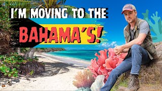 Moving To The Bahamas (4K) | Channel Update | Uncharted Odyssey