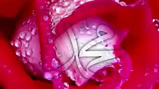 ruhumuzu dinlendiren GÜL AHMEDİM İLAHİSİ
