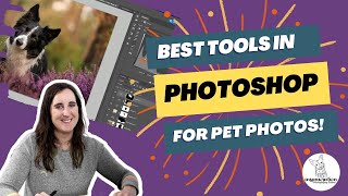 Most Important Editing Tools in Photoshop for Pet Photography